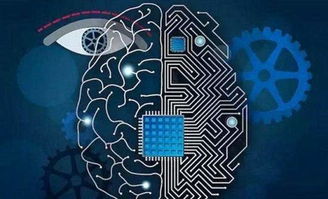 机器视觉 制造业智能化转型的得力助手