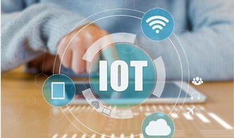 物联网 无处不在的智能连接与人工智能集成的行业应用